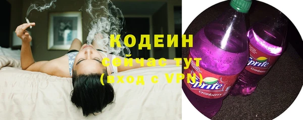 шишки Баксан