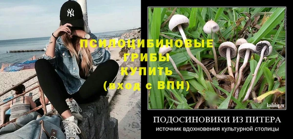 шишки Баксан
