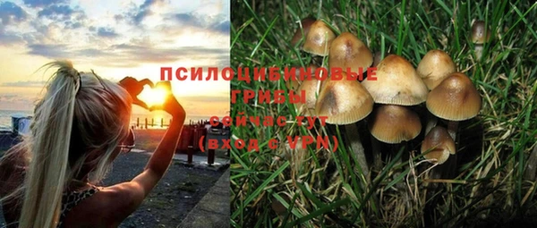 хмурый Балабаново