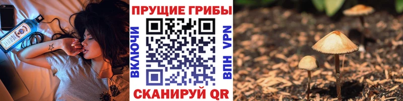 Псилоцибиновые грибы Psilocybine cubensis  Купить где  Тюкалинск 